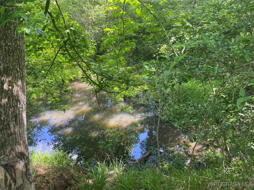 4010 County Road 712 Road Enterprise AL 36330