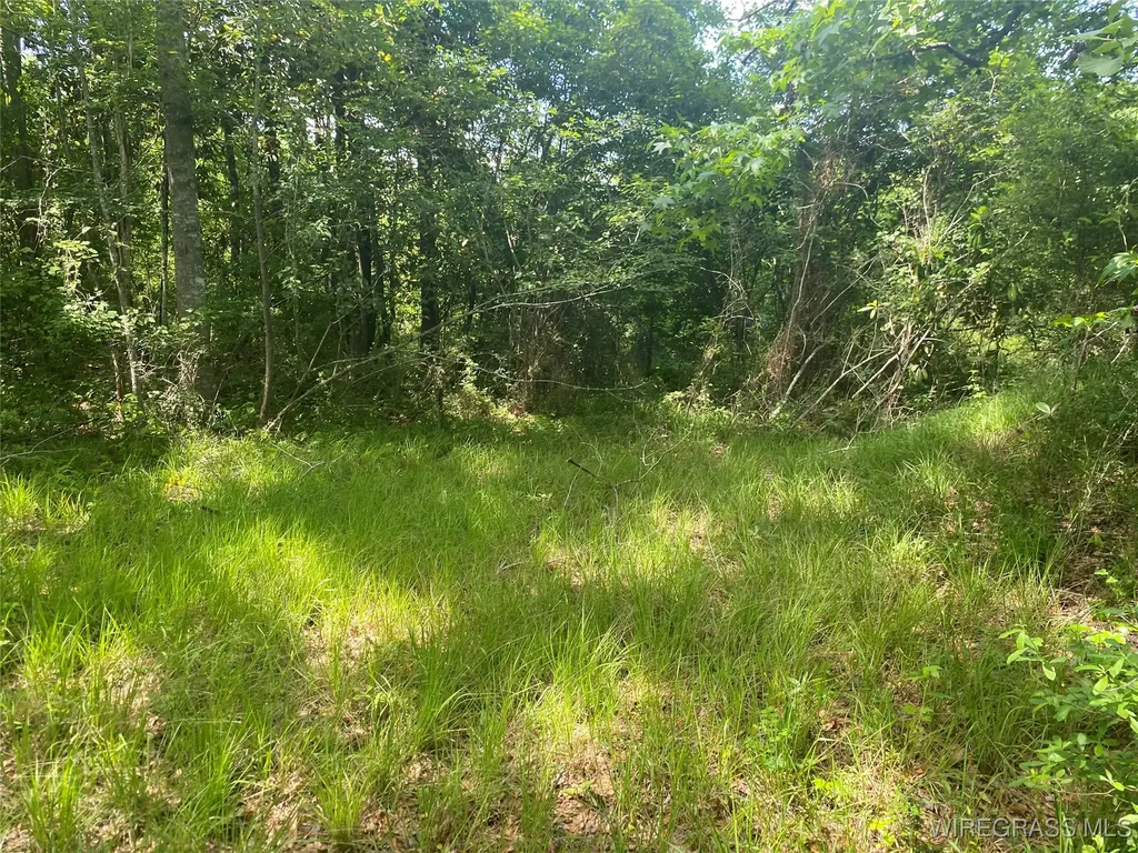 4010 County Road 712 Road Enterprise AL 36330