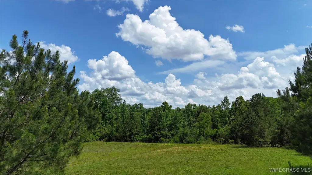 4010 County Road 708 Enterprise AL 36330