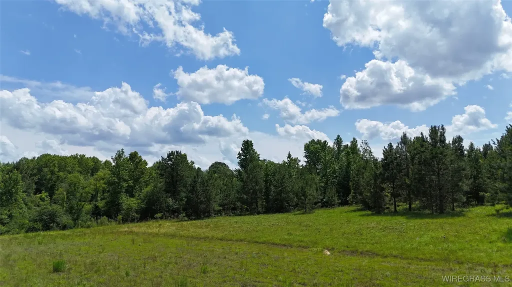 4010 County Road 708 Enterprise AL 36330