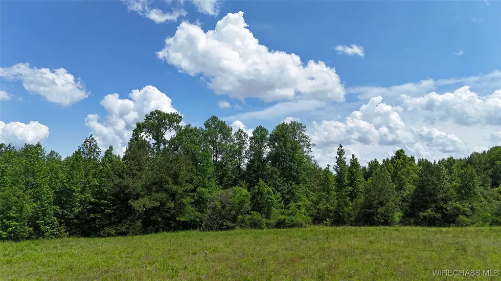 4010 County Road 708 Enterprise AL 36330