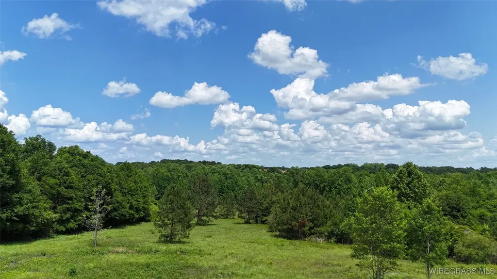 4010 County Road 712 Road Enterprise AL 36330