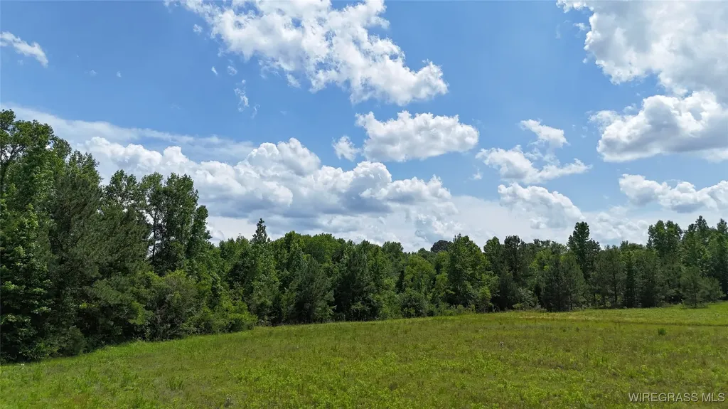 4010 County Road 708 Enterprise AL 36330