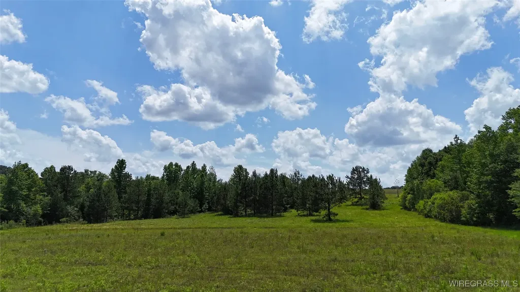 4010 County Road 708 Enterprise AL 36330