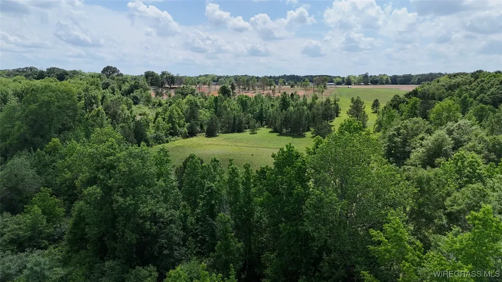 4010 County Road 708 Enterprise AL 36330