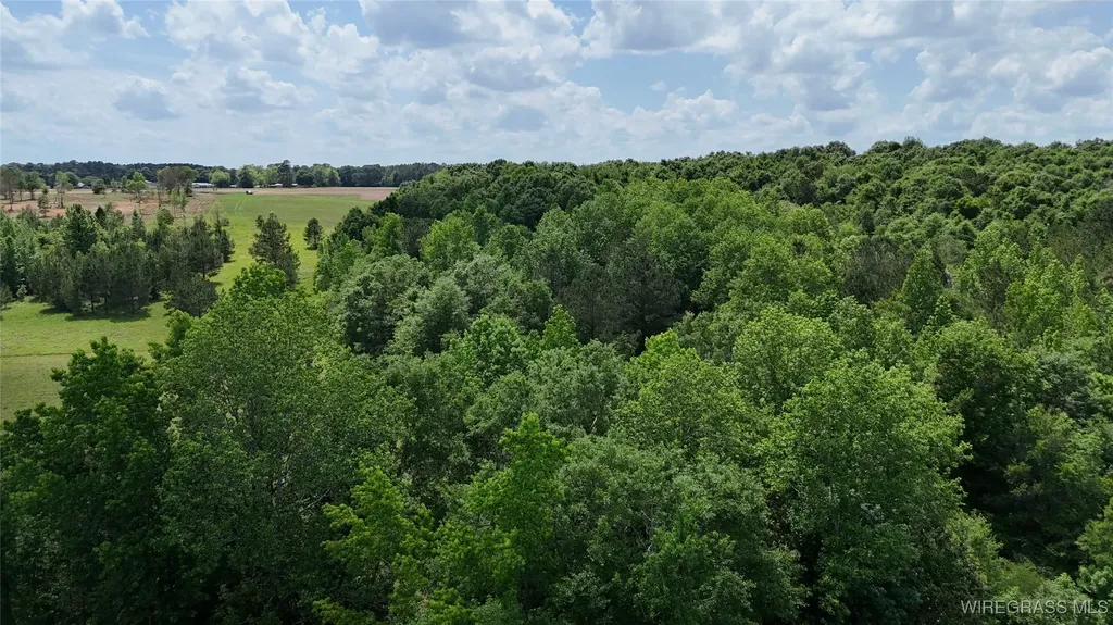 4010 County Road 712 Road Enterprise AL 36330