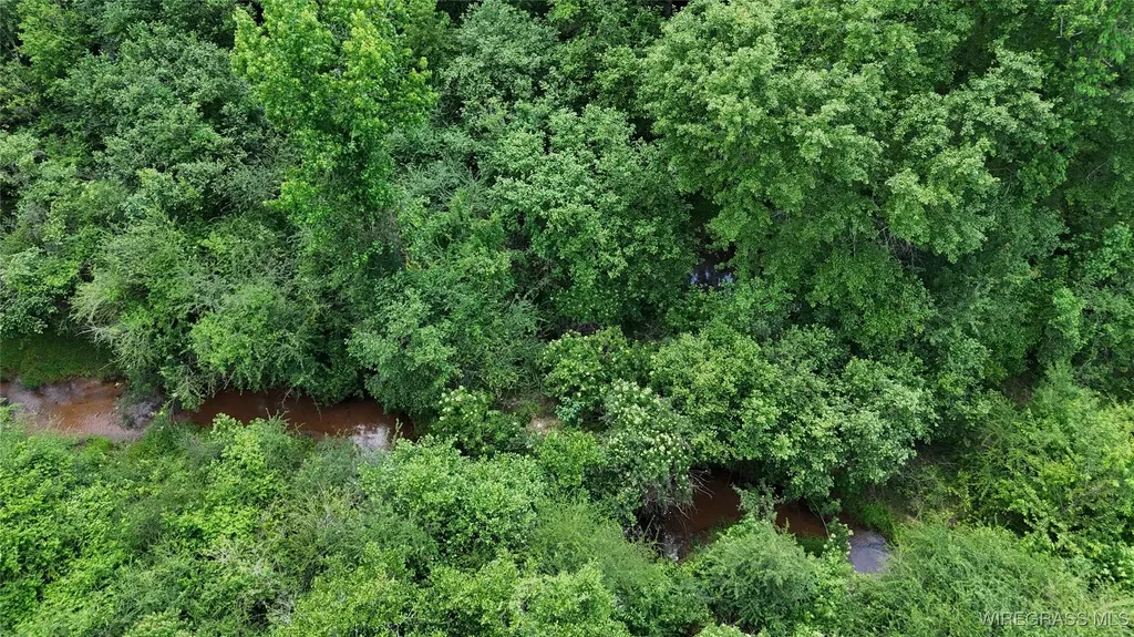 4010 County Road 708 Enterprise AL 36330