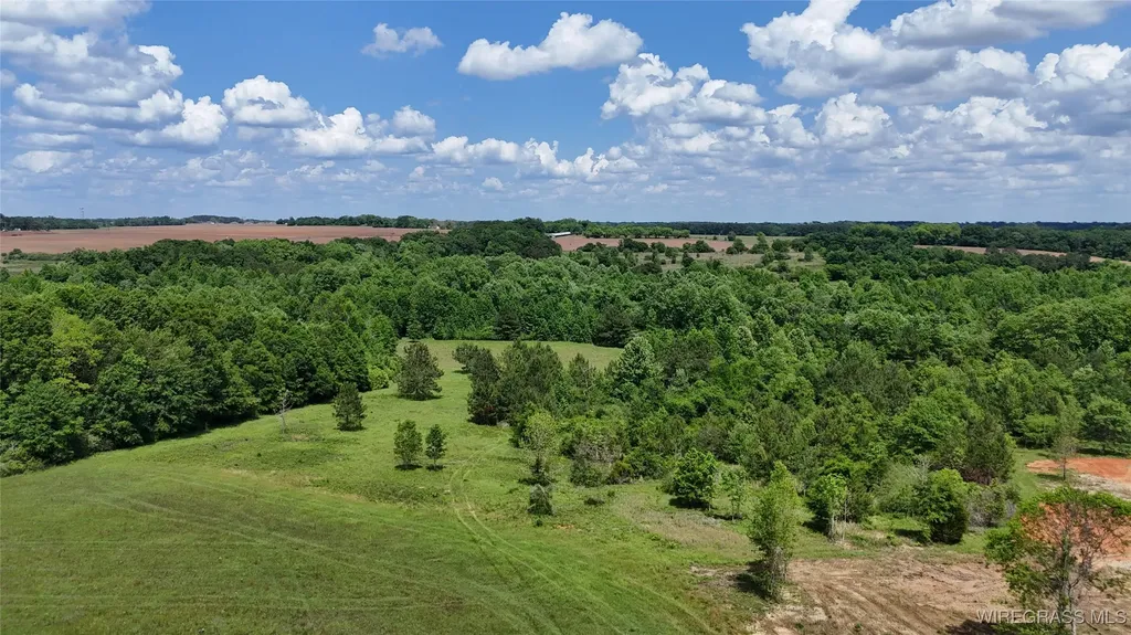 4010 County Road 708 Enterprise AL 36330