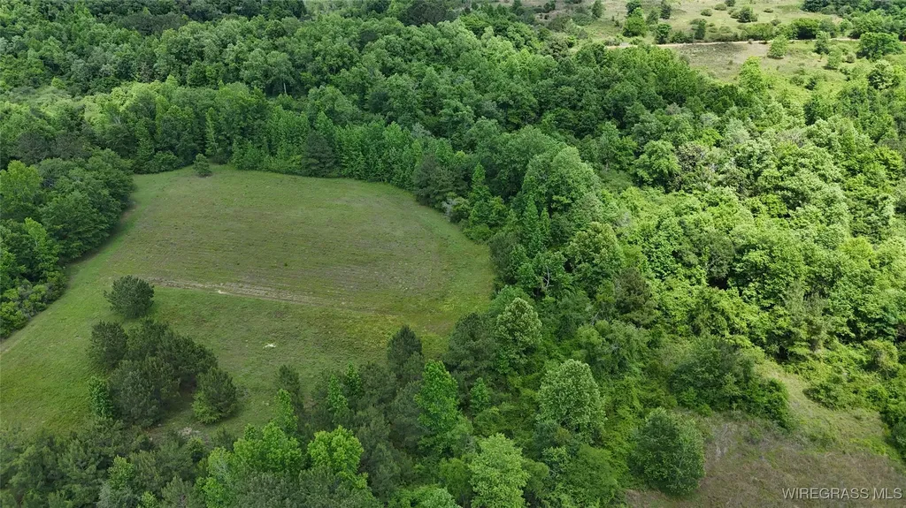 4010 County Road 708 Enterprise AL 36330