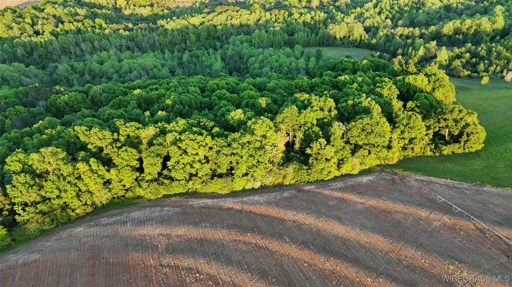 4010 County Road 712 Road Enterprise AL 36330