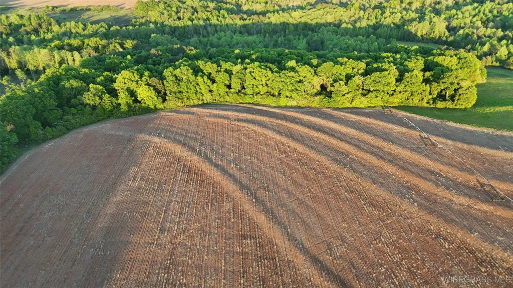 4010 County Road 708 Enterprise AL 36330