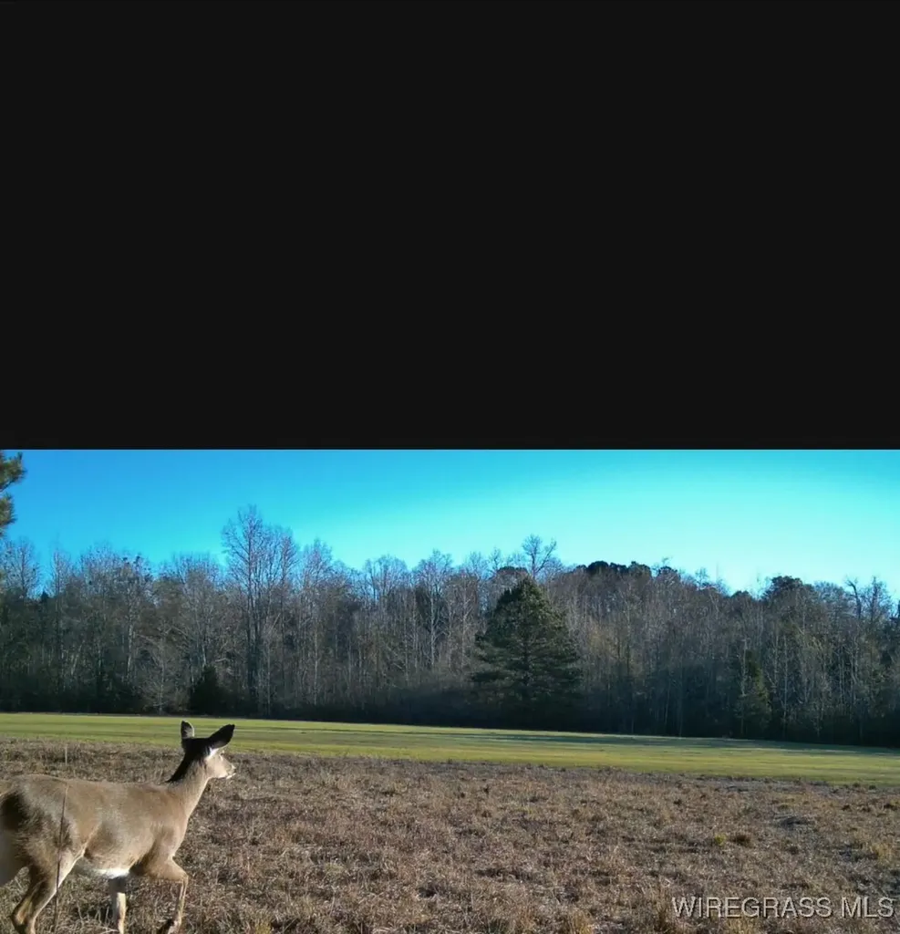 4010 County Road 708 Enterprise AL 36330