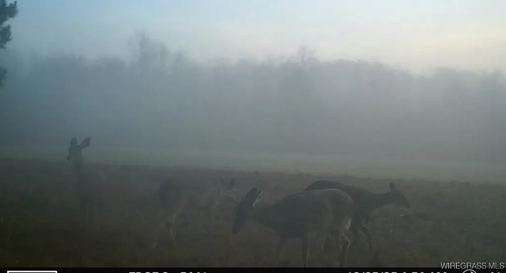 4010 County Road 708 Enterprise AL 36330