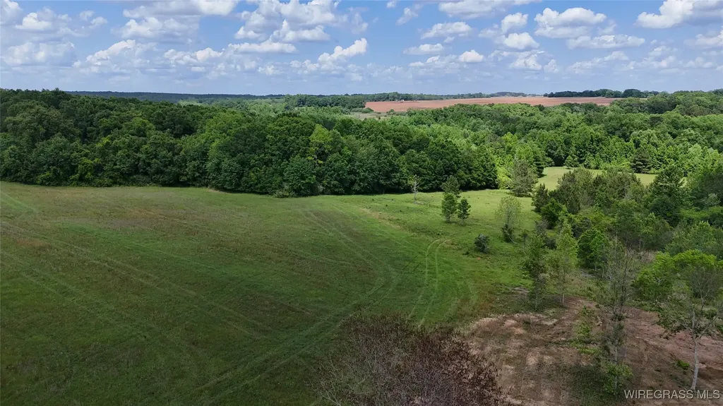 4010 County Road 708 Enterprise AL 36330