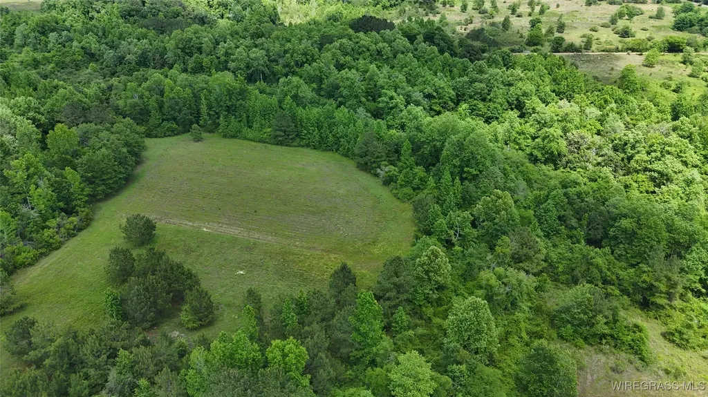 4010 County Road 708 Enterprise AL 36330