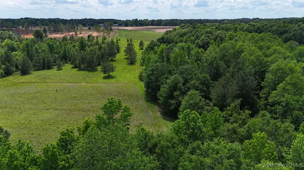 4010 County Road 708 Enterprise AL 36330