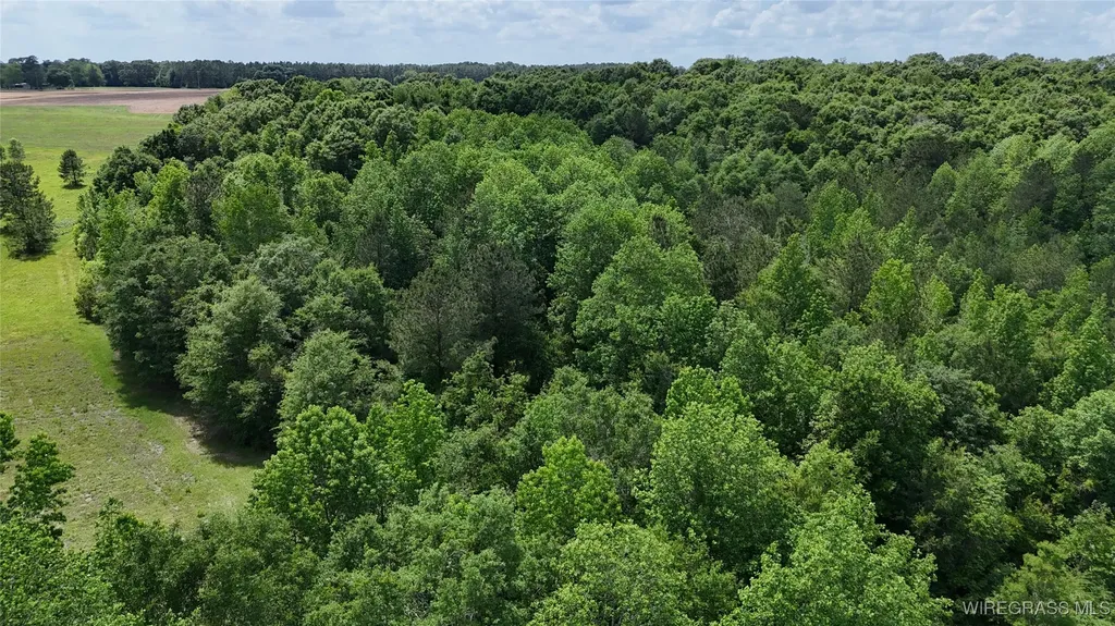 4010 County Road 708 Enterprise AL 36330