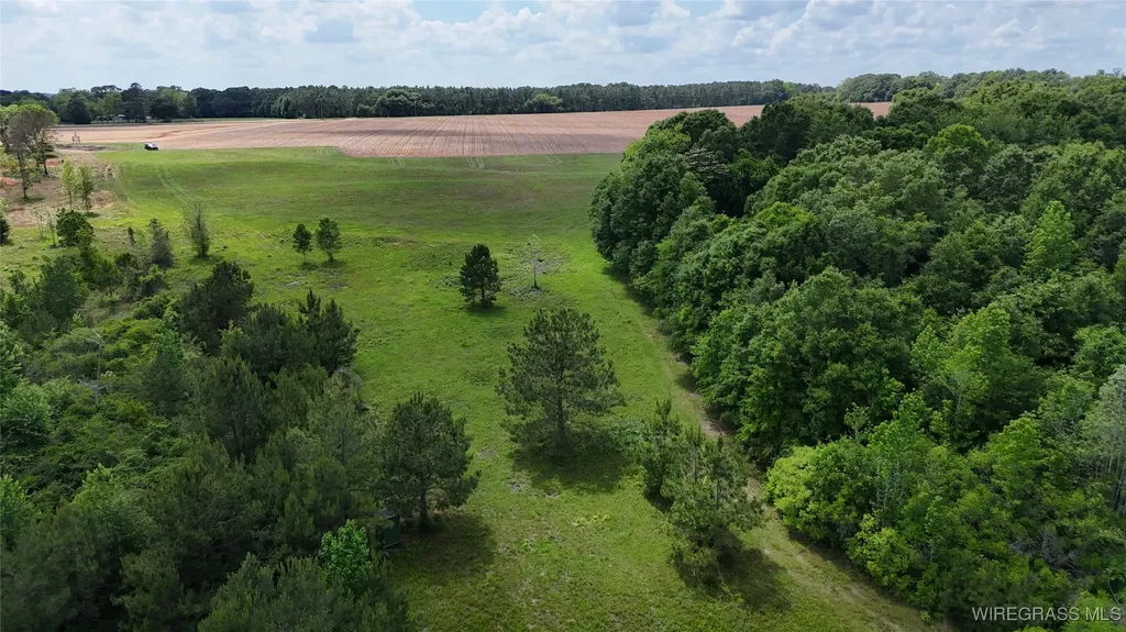 4010 County Road 712 Road Enterprise AL 36330