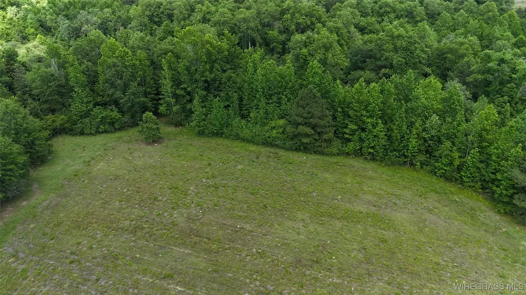 4010 County Road 708 Enterprise AL 36330