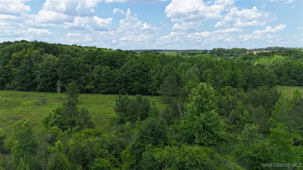 4010 County Road 712 Road Enterprise AL 36330