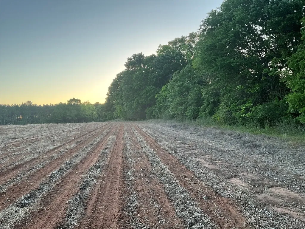 4010 County Road 708 Enterprise AL 36330