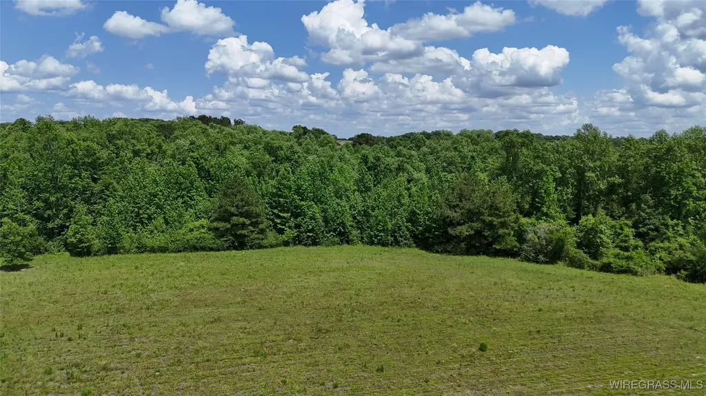 4010 County Road 708 Enterprise AL 36330