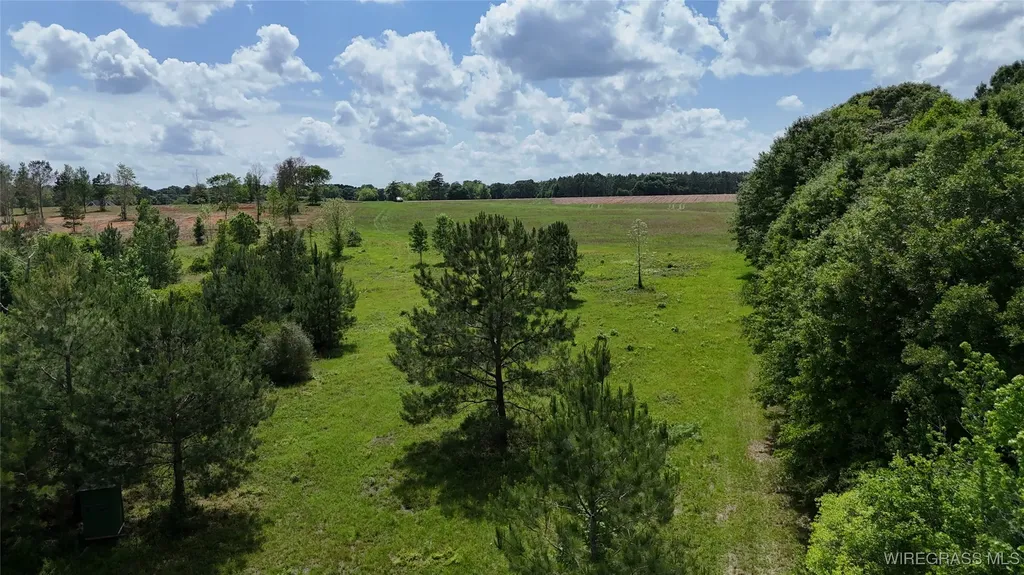 4010 County Road 708 Enterprise AL 36330