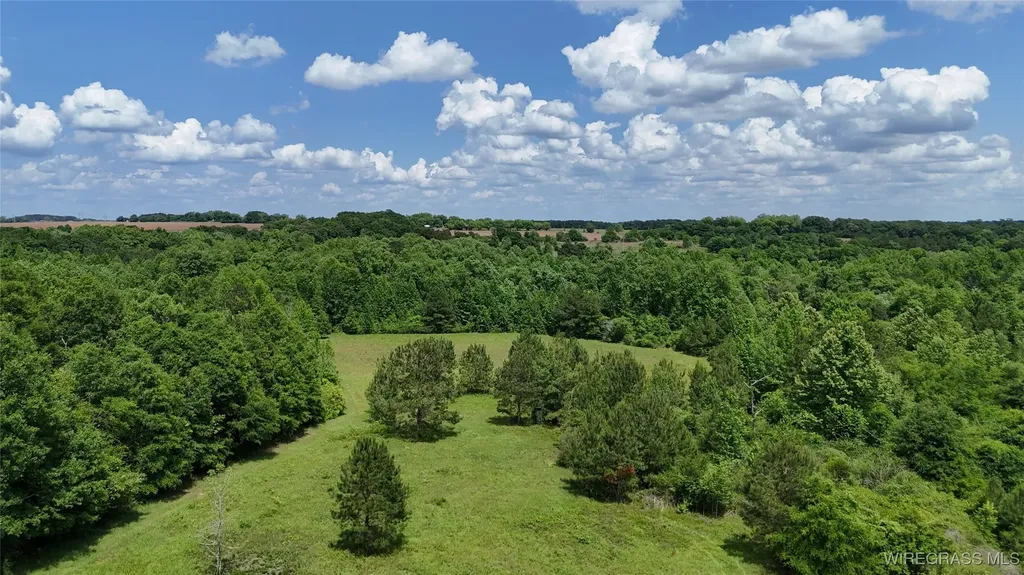 4010 County Road 708 Enterprise AL 36330