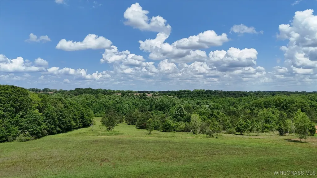 4010 County Road 708 Enterprise AL 36330