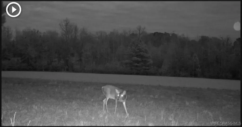 4010 County Road 708 Enterprise AL 36330