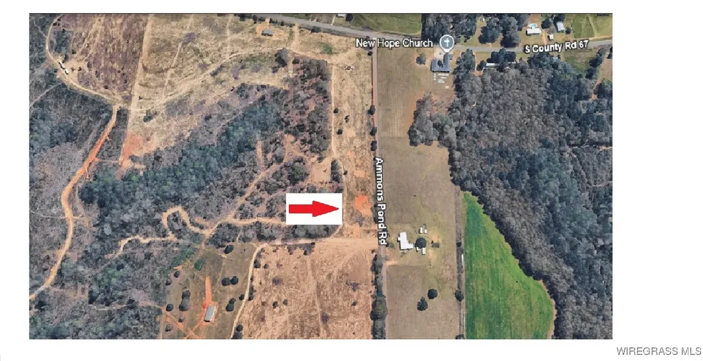 1 Ammons Pond Road Midland City AL 36350