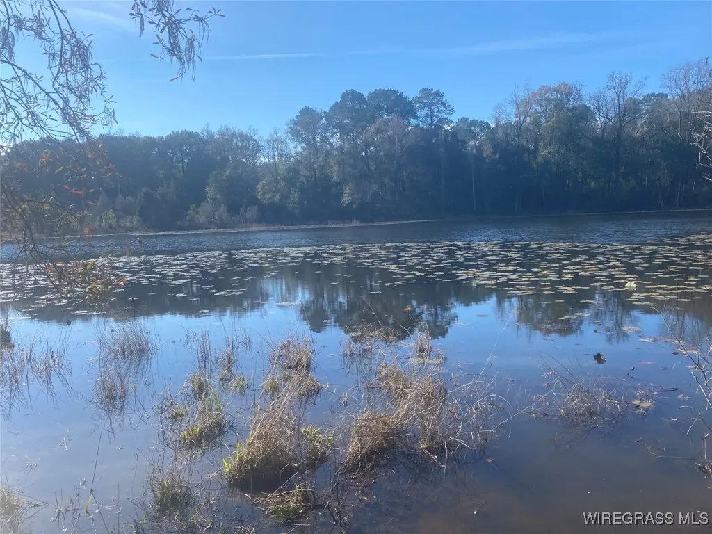 805 Lessie Culpepper Road Coffee Springs AL 36318