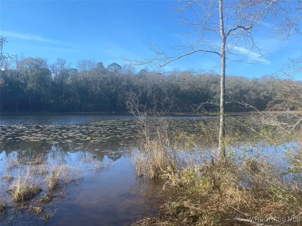 805 Lessie Culpepper Road Coffee Springs AL 36318