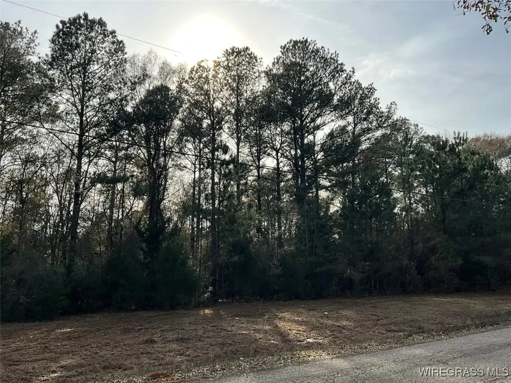 805 Lessie Culpepper Road Coffee Springs AL 36318