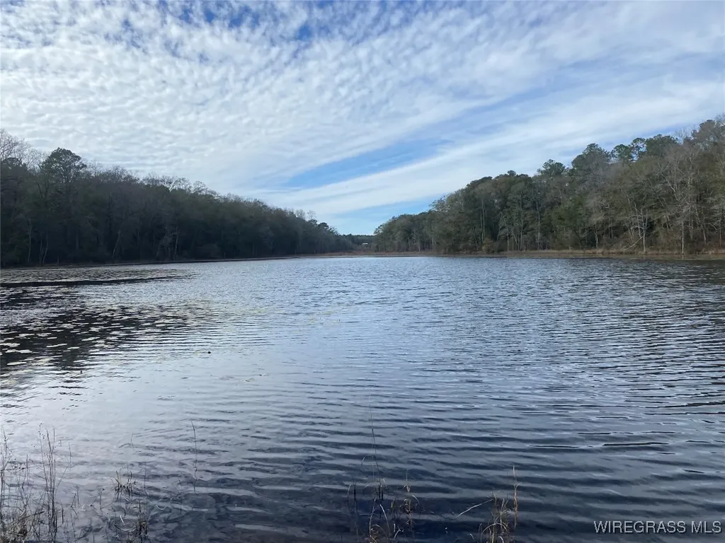 805 Lessie Culpepper Road Coffee Springs AL 36318