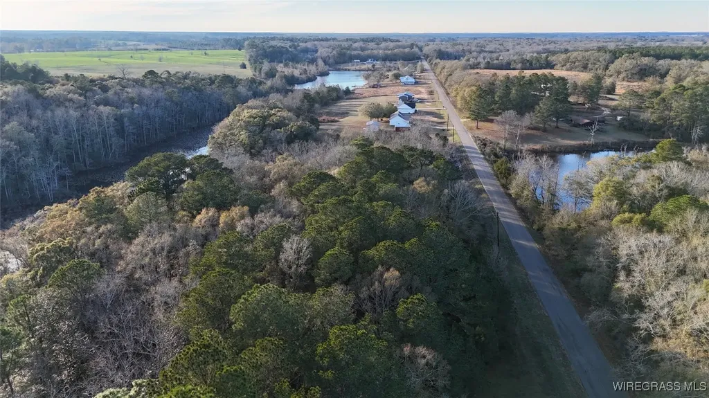 805 Lessie Culpepper Road Coffee Springs AL 36318