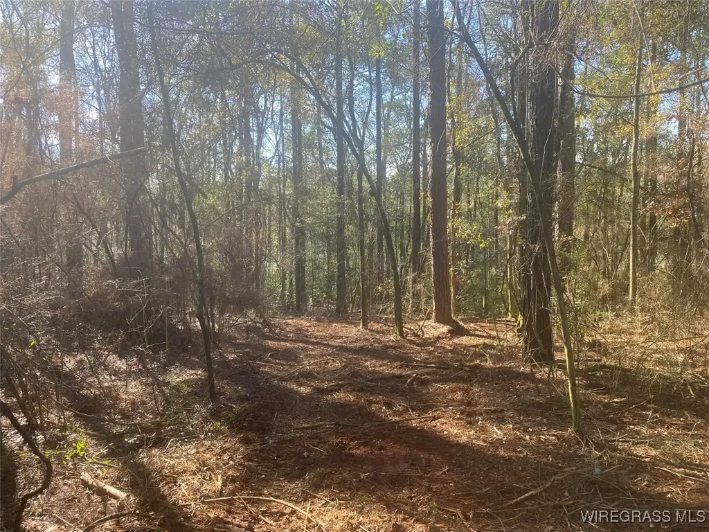 805 Lessie Culpepper Road Coffee Springs AL 36318