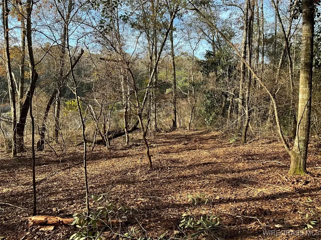 805 Lessie Culpepper Road Coffee Springs AL 36318