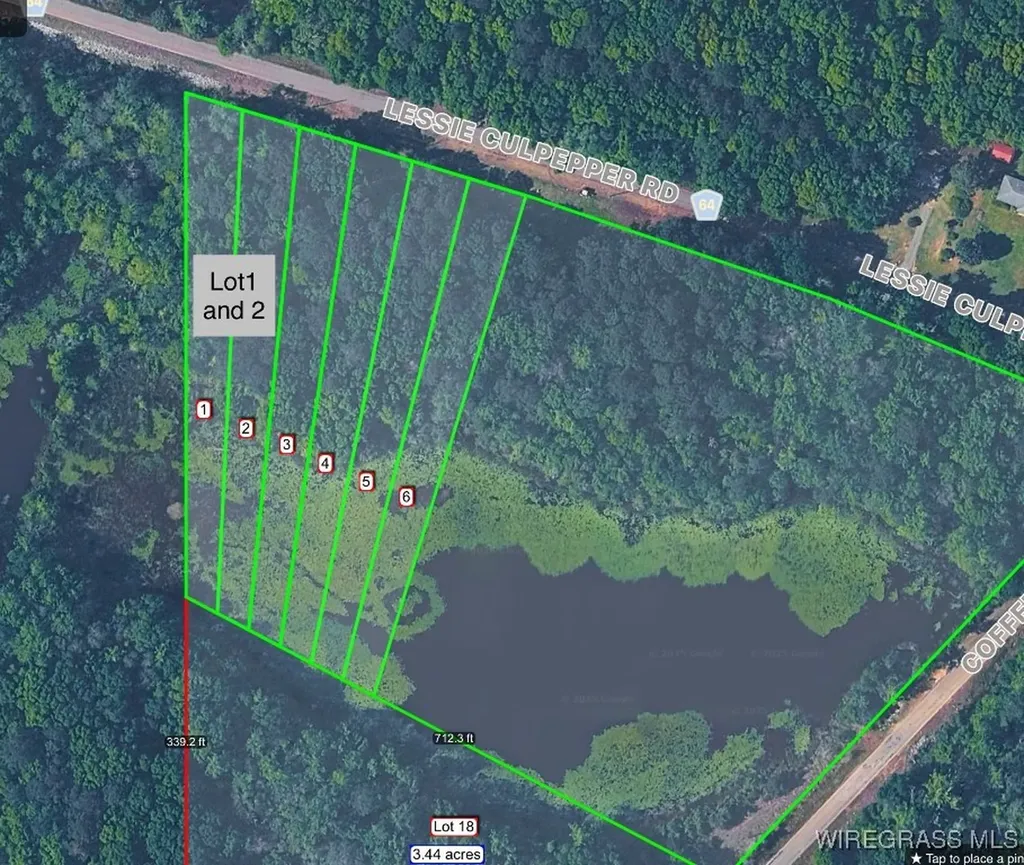 805 Lessie Culpepper Road Coffee Springs AL 36318