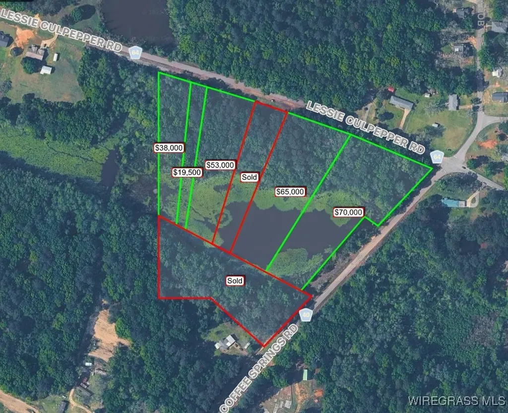 805 Lessie Culpepper Road Coffee Springs AL 36318