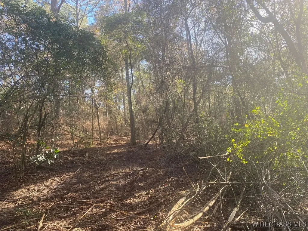 805 Lessie Culpepper Road Coffee Springs AL 36318