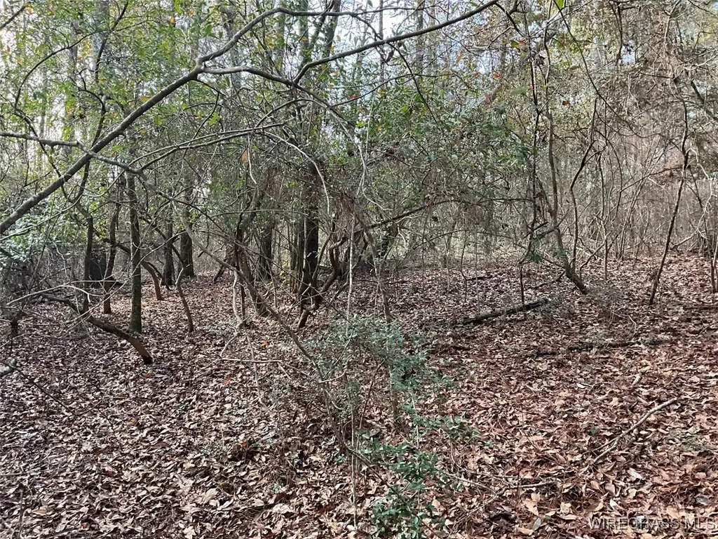 805 Lessie Culpepper Road Coffee Springs AL 36318