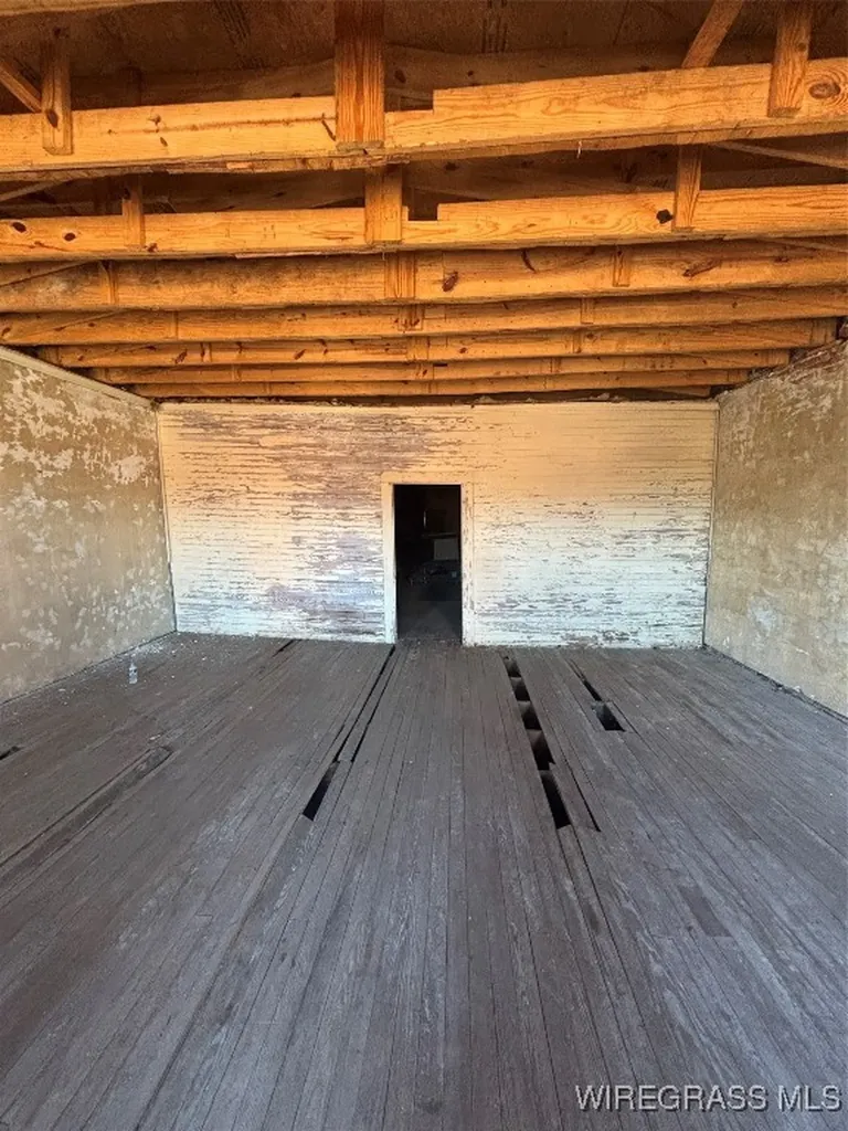 217 Court Avenue Elba AL 36323