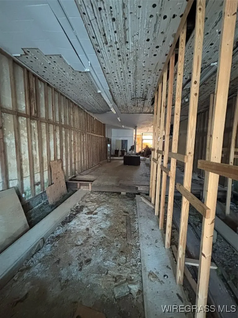 217 Court Avenue Elba AL 36323