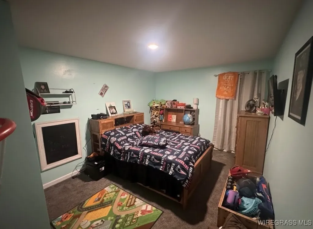 1499 E Neva Drive In Road Geneva AL 36340