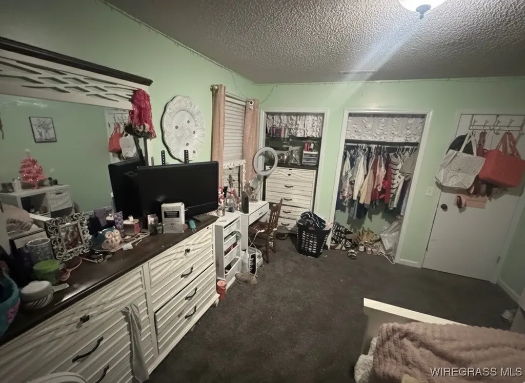 1499 E Neva Drive In Road Geneva AL 36340