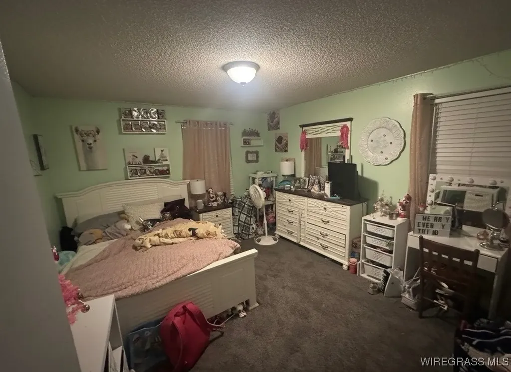 1499 E Neva Drive In Road Geneva AL 36340