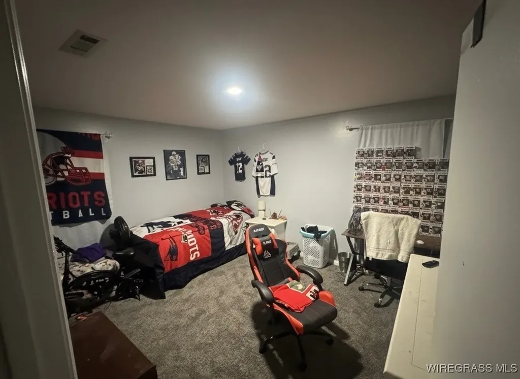 1499 E Neva Drive In Road Geneva AL 36340