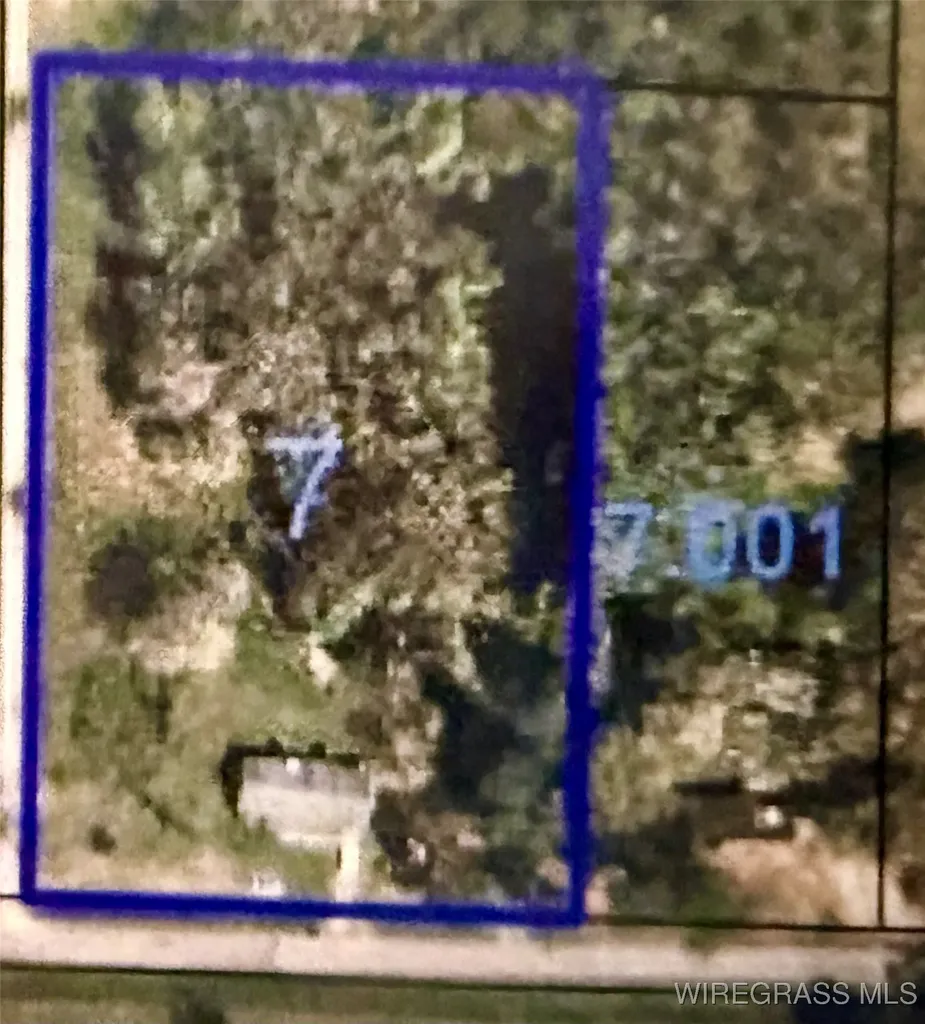 1499 E Neva Drive In Road Geneva AL 36340