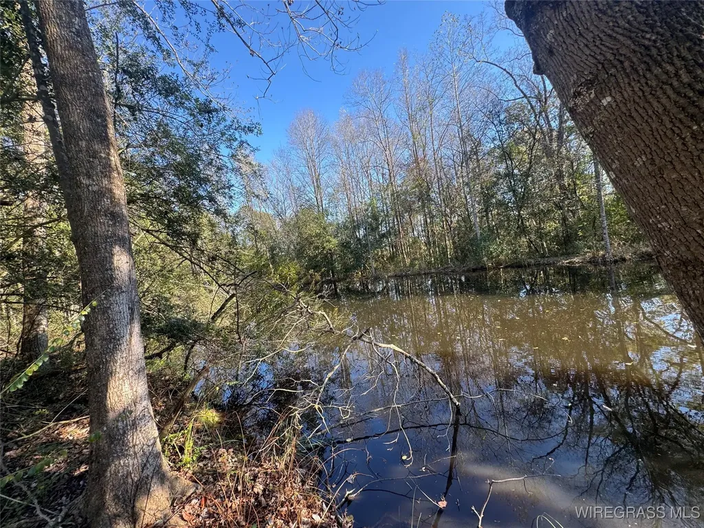 1499 E Neva Drive In Road Geneva AL 36340